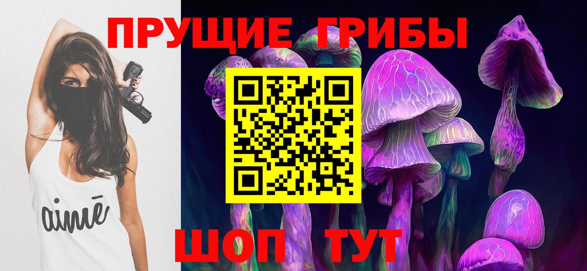 Кимры  Псилоцибиновые грибы Cubensis  Галлюциногенные грибы Magic Shrooms  Вход с VPN 